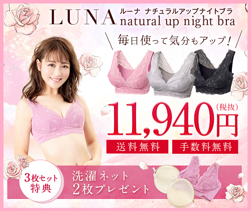 ルーナ ナイトブラ サイズ